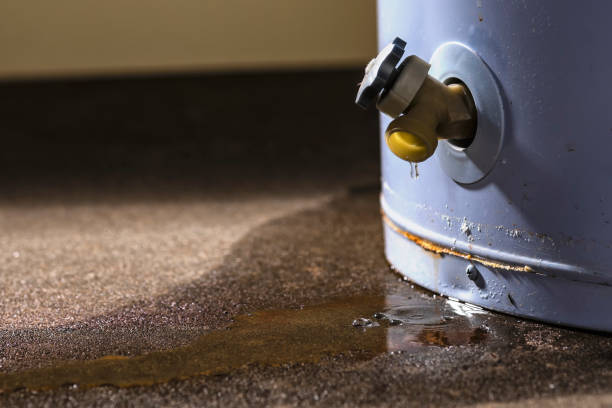 Best Flood restoration services  in Cleora, OK