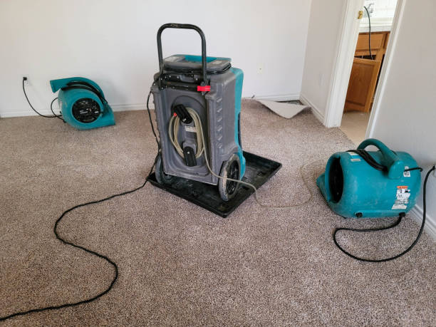 Best Flooded house restoration  in Cleora, OK