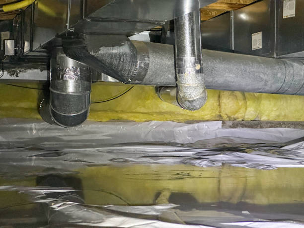 Best Local water damage restoration  in Cleora, OK