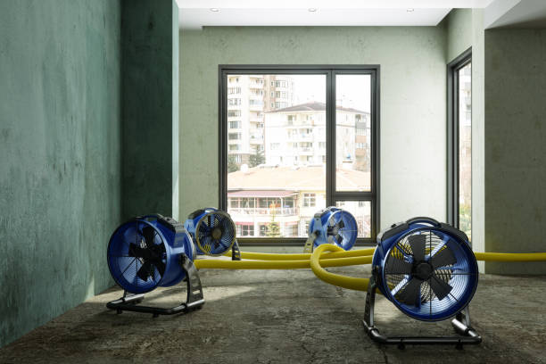 Best 24/7 water damage repair  in Cleora, OK